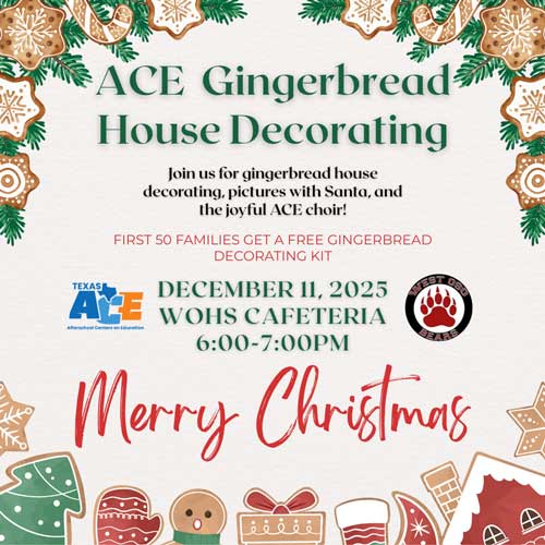 ACE Gingerbread House Decorating graphic with information from this article